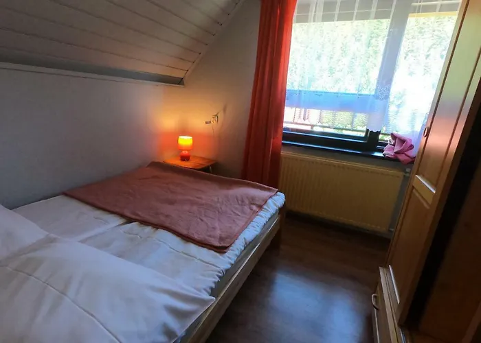 게스트하우스 Osrodek Wczasowy Wierchy 코르비에로프